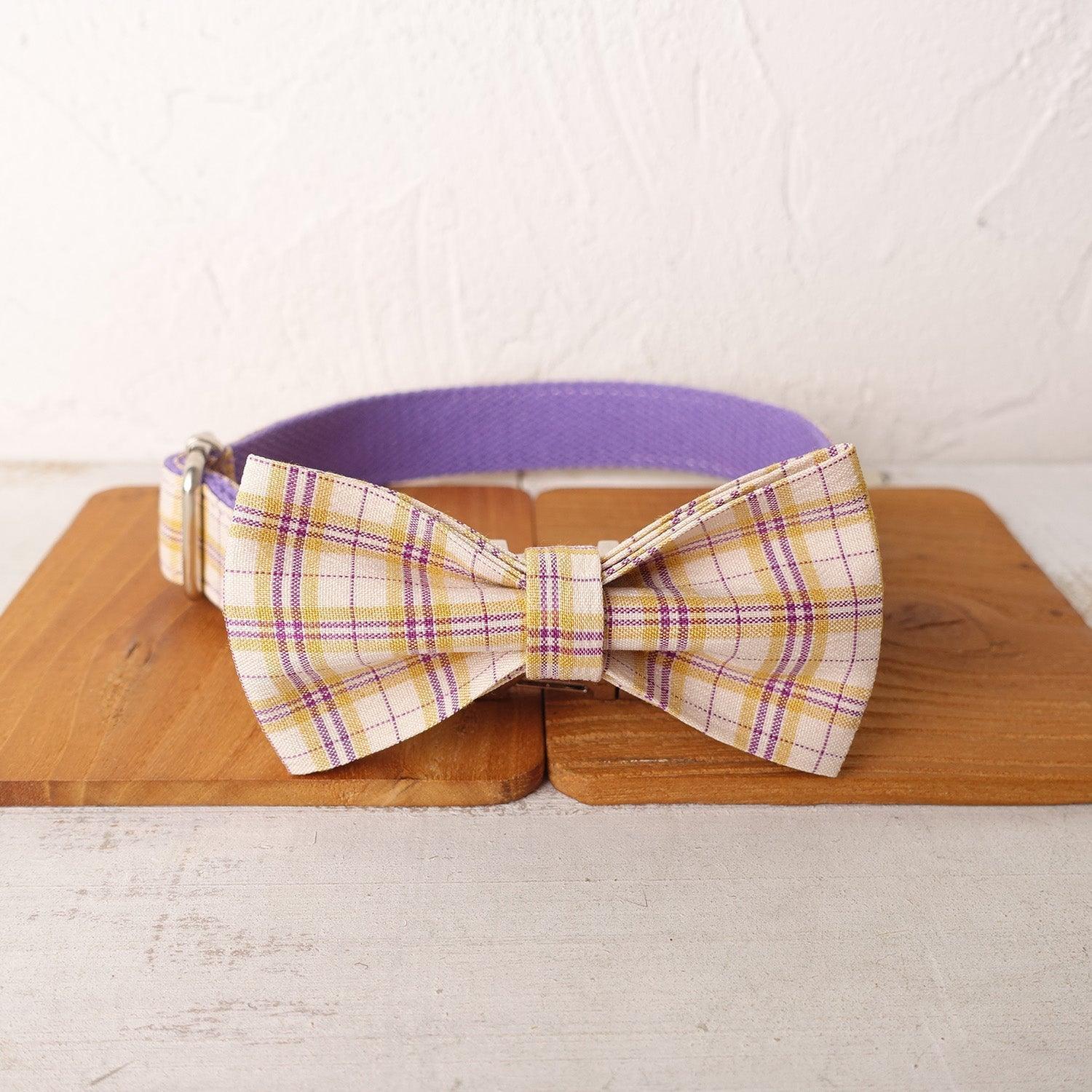 Classic Premium Dog Collar and Leash Set Set