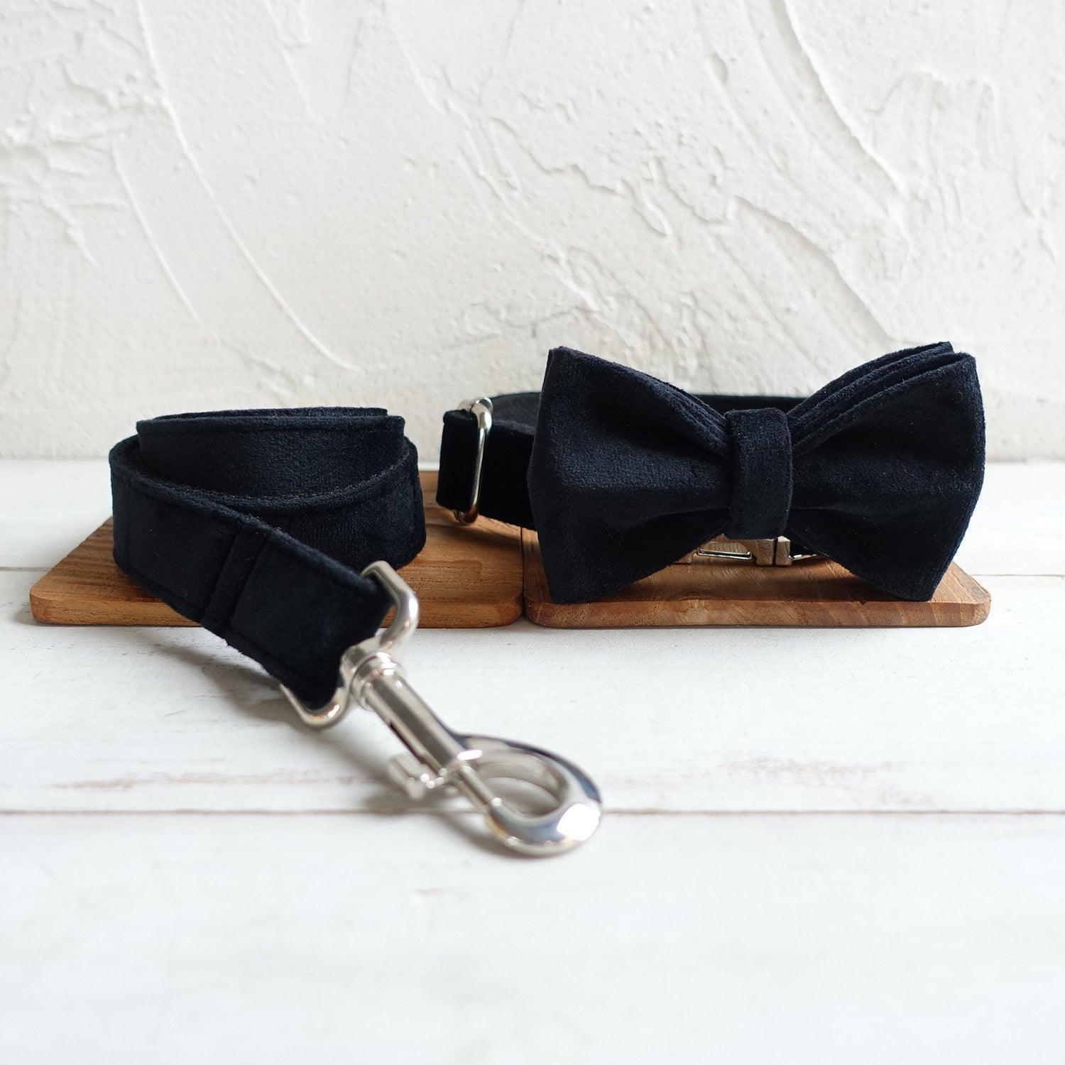 Elegant Premium Dog Collar and Leash Set Option