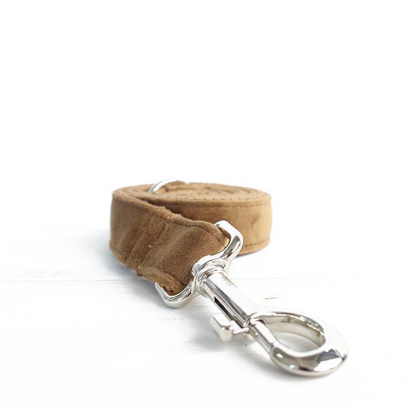 Premium Premium Dog Collar and Leash Set Range