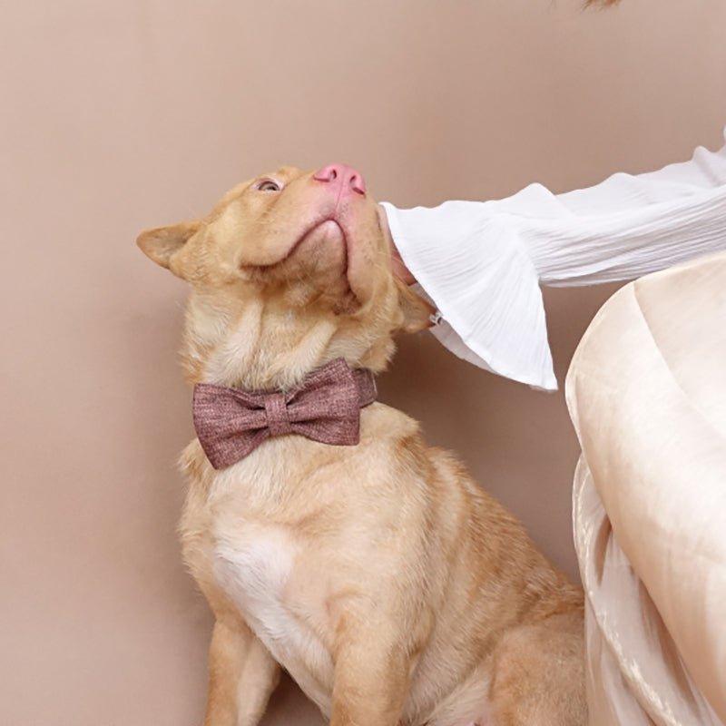 Premium Dog Collar and Leash Set Series