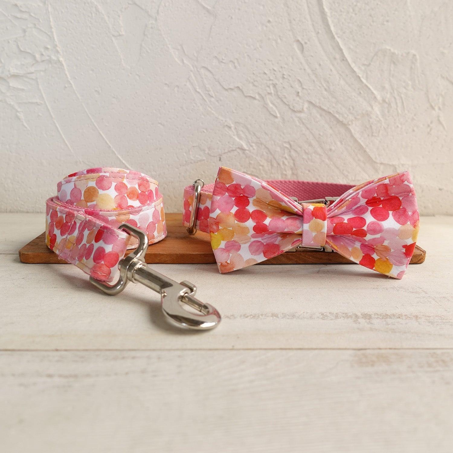 Modern Premium Dog Collar and Leash Set Assortment