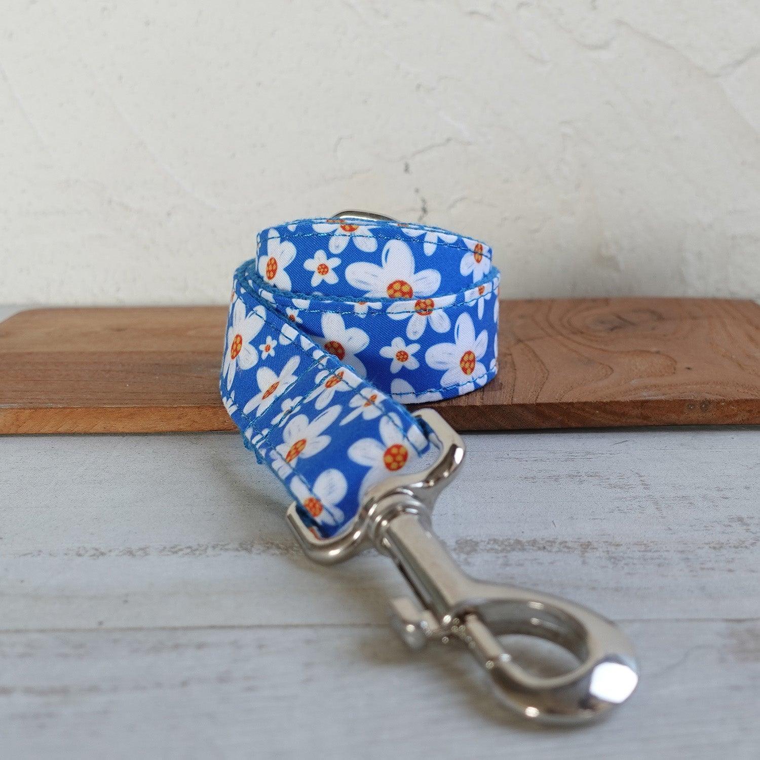 Premium Pet Dog Collar and Leash Set