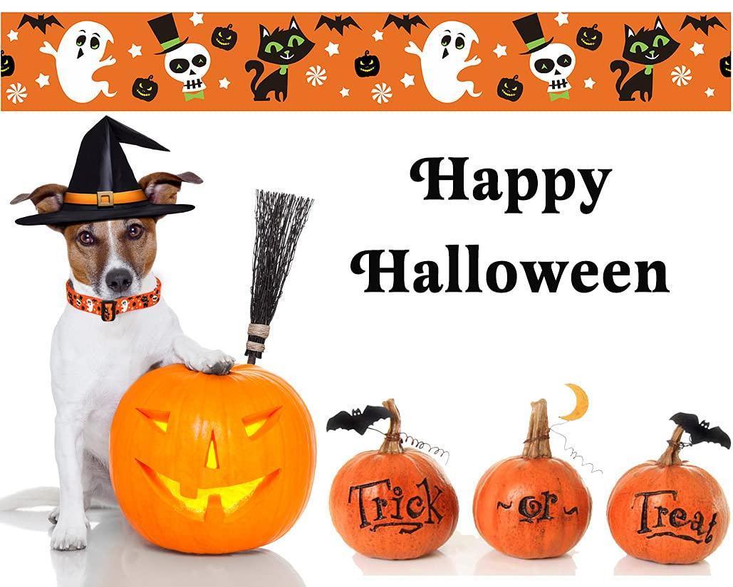 Premium Halloween Dog Collar