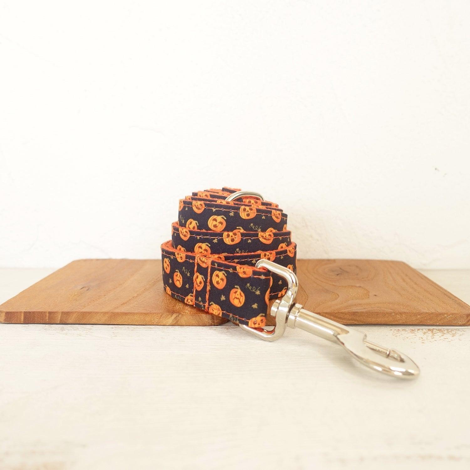 Premium Premium Dog Collar and Leash Set Line