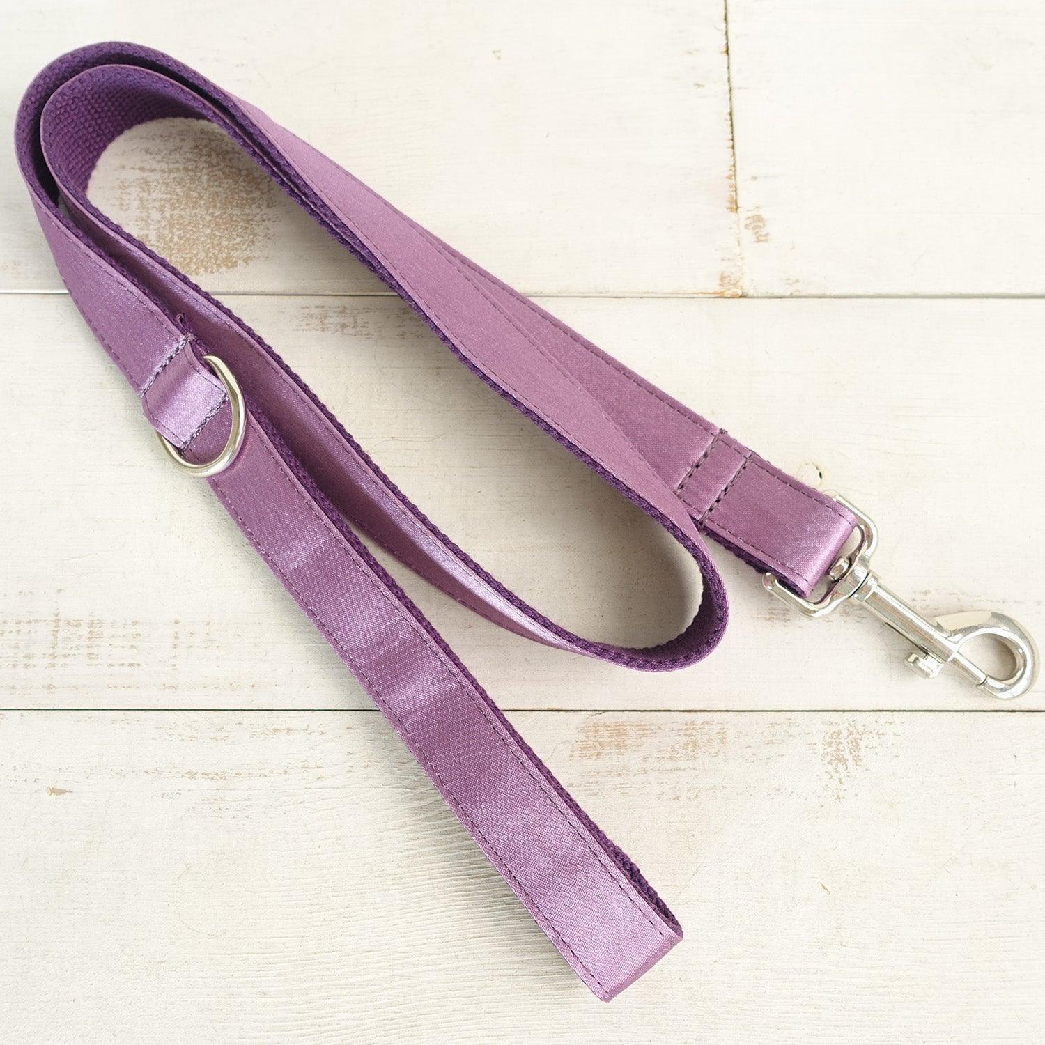 Modern Premium Dog Collar and Leash Set Edition