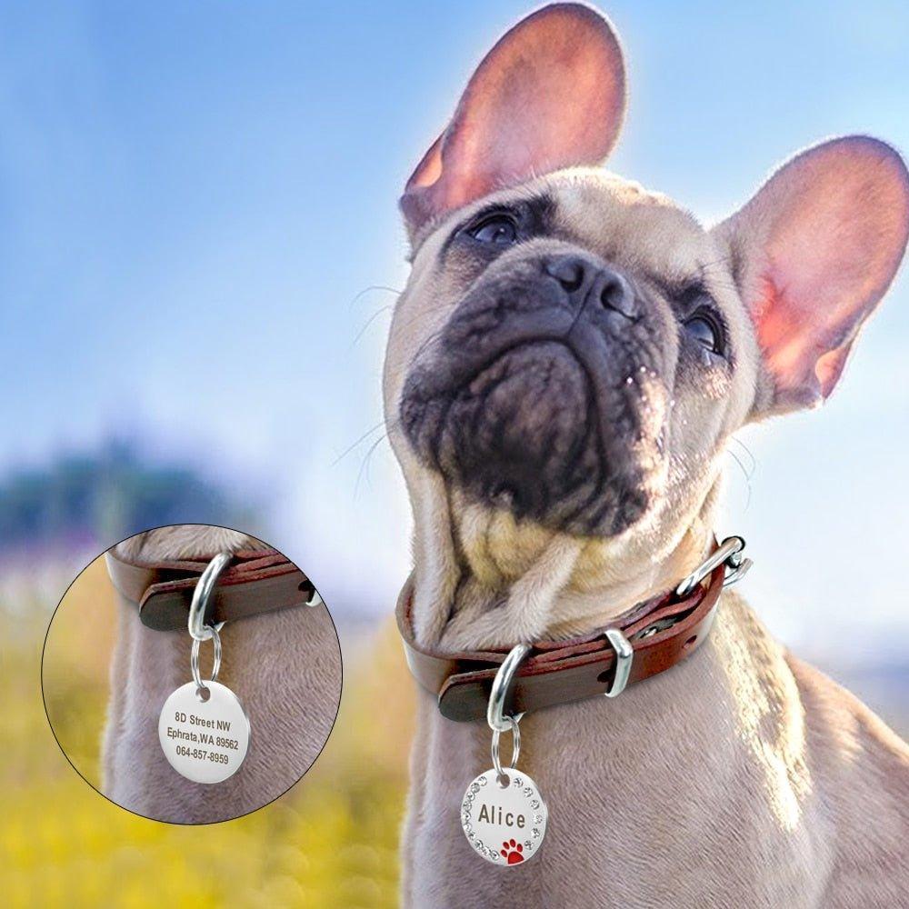 Classic Personalized Pet ID Tag