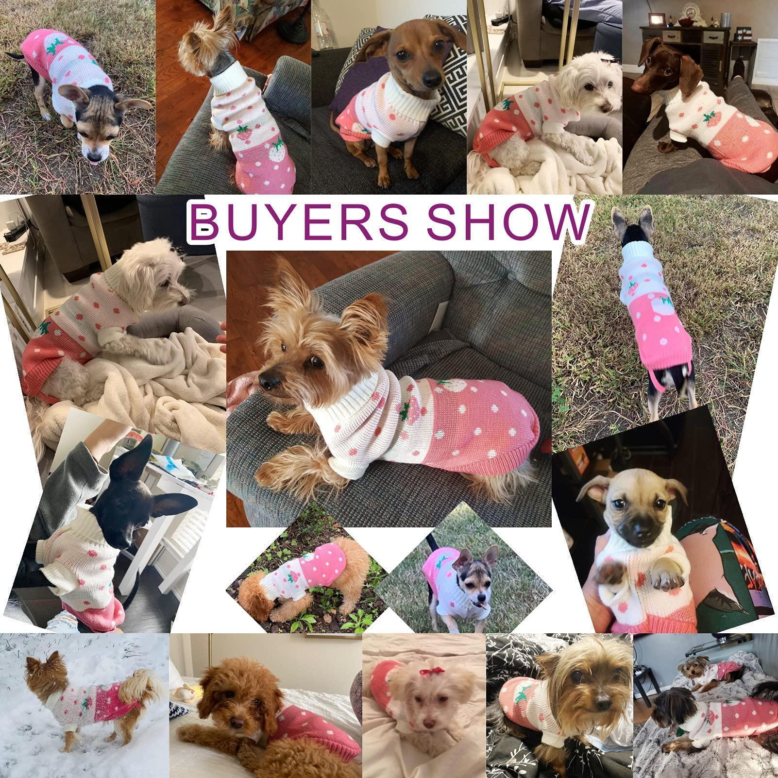 Premium Knit Dog Sweaters