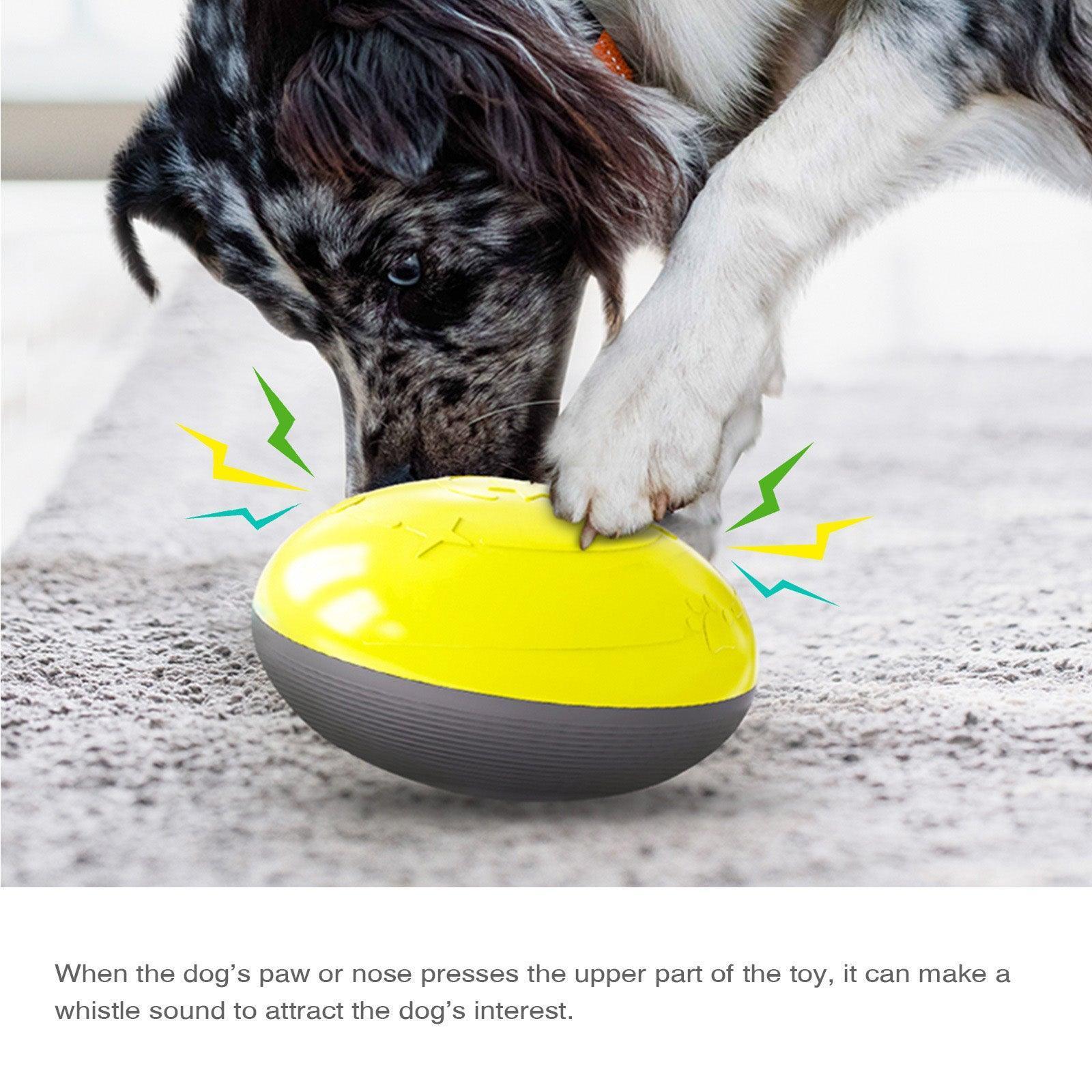 Premium Dog Interactive Treat