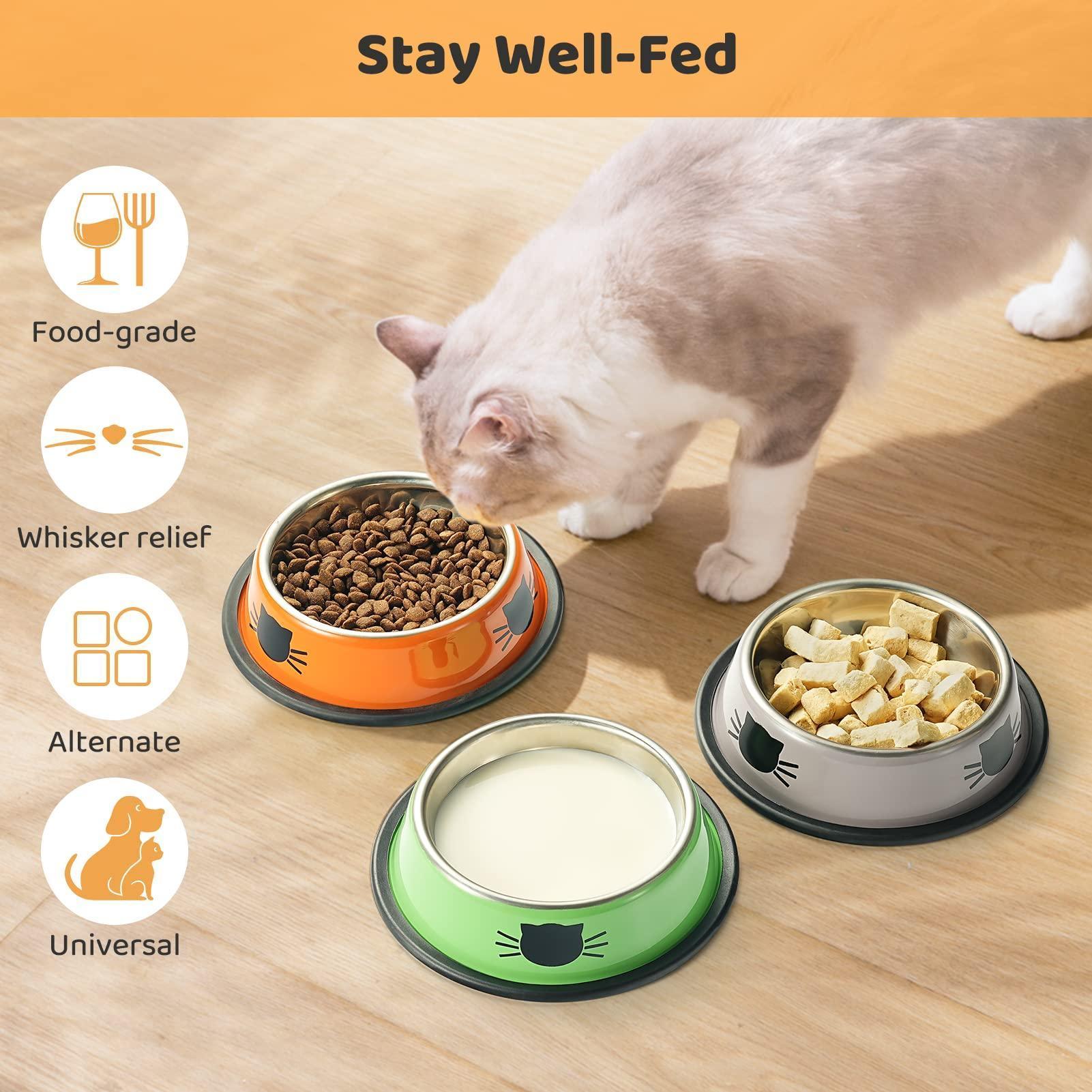 Premium Pet Food and Water Bowls Set