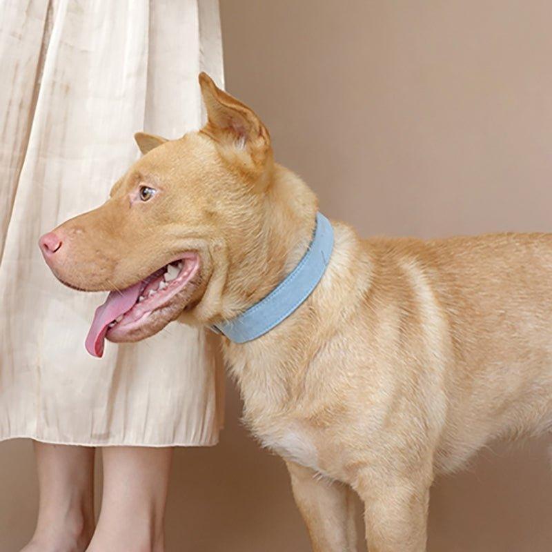 Refined Dog Collar and Leash Set