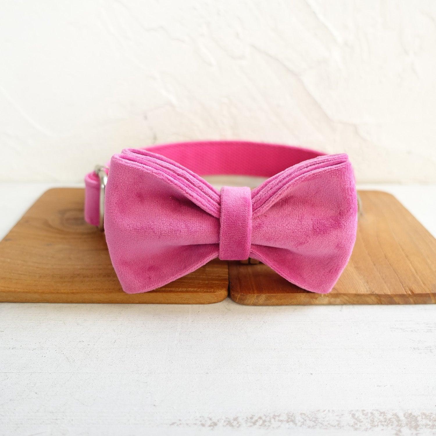 Elegant Dog Collar Set