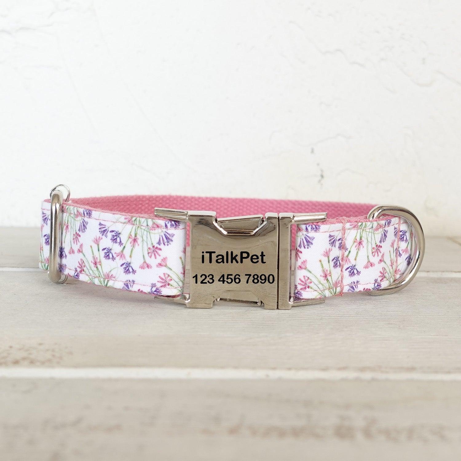 Elegant Premium Dog Collar and Leash Set Collection